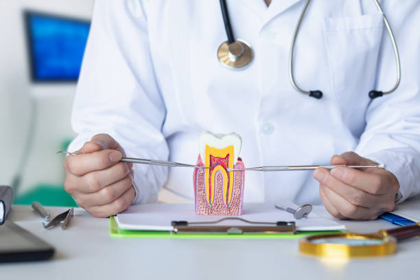 Best Emergency Cosmetic Dentistry (e.g., broken veneers) in Four Corners, MD